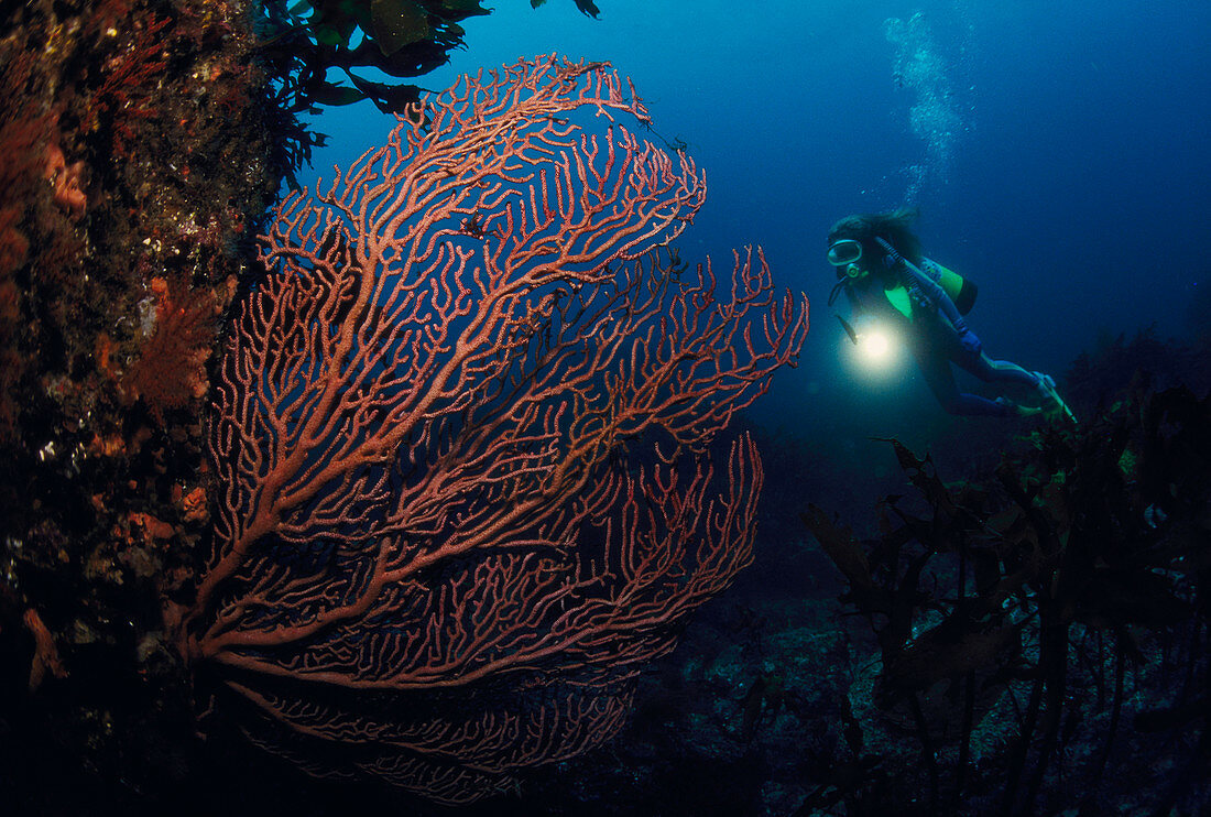 Чеджудо - не “корейские Мальдивы”